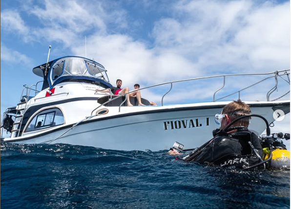 shark bay yacht galapagos diving